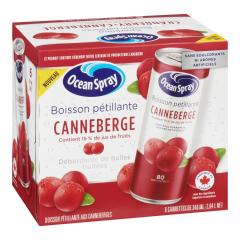 SPARKLING CRANBERRY CAN
