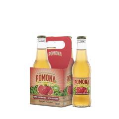 JUICE APPLE/GRAPEFRUIT SPARKLING