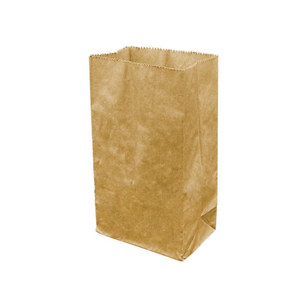 FRENCH FRY BAG 3/4PND DBL WALL
