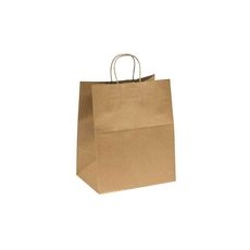 Twist Handle Paper Carry Out Bag, 13 x 9.1 x 15.7 inch