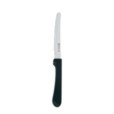 Carnival Stainless Steel Steak Knife with Polypropylene Handle, 8.8 inch