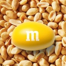 Peanut Candies| 11.34 Kilogram
