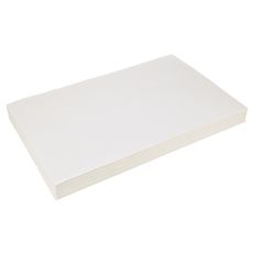 PITP6071373 FILTER,OIL(28"X17.5",STD -100