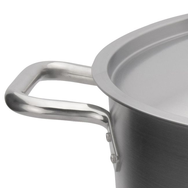 Elements Stainless Steel Stock Pot with Cover