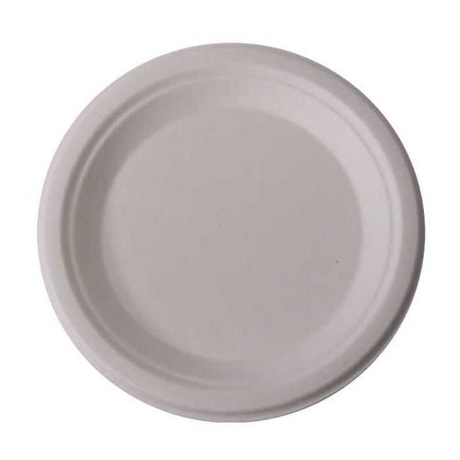Disposable White Molded Fiber Plate