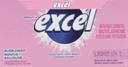 GUM BUBBLEMINT