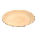 CRUST PIE 9" SALTED