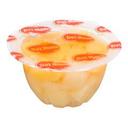 SALAD FRUIT MINI CUP