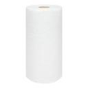 PROFESSIONAL TOWEL 210 SHEET