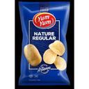 CHIP PLAIN
