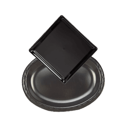 Contains 1 Disposable Platters products