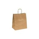 Twist Handle Paper Carry Out Bag, 10.2 x 6.5 x 12 inch