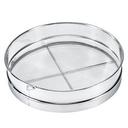 Stainless Steel 16 Mesh Rim Sieve, 16 inch Dia.