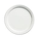 Palm Porcelain White Dinner Plate, 9 inch