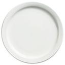 Palm Porcelain White Dinner Plate, 10.4 inch