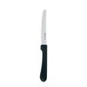 Carnival Stainless Steel Steak Knife with Polypropylene Handle, 8.8 inch