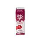 Raspberry Fruit Puree Beverage Mix, 32 Fluid Ounce
