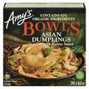 Asian Dumpling Bowl