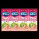 No Sugar Added Guava Apple Juice Drink, 200 Milliliter