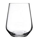 Allegra Stemless Tumbler, 14.4 Ounce Capacity
