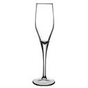 Dream Champagne Flute Glass, 7.3 Ounce Capacity