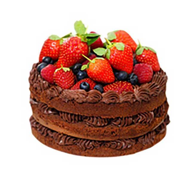 Product gallery 210604667