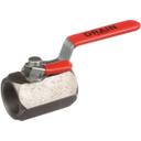 FRY8101569 Drain Valve with Lock