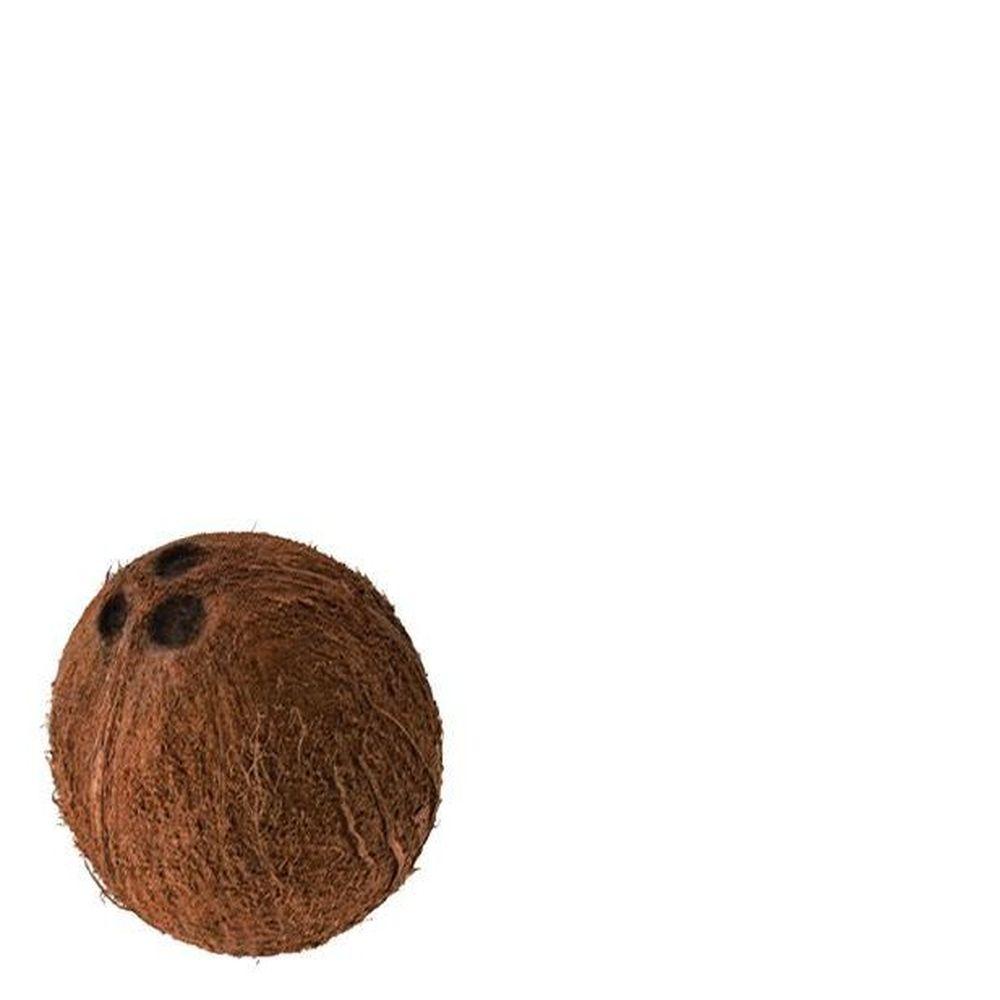 Product gallery 556529219