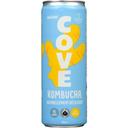 Ginger Kombucha