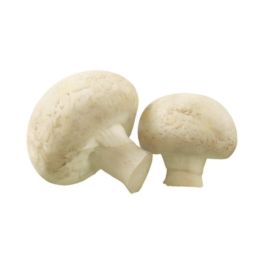 Product gallery 165545057