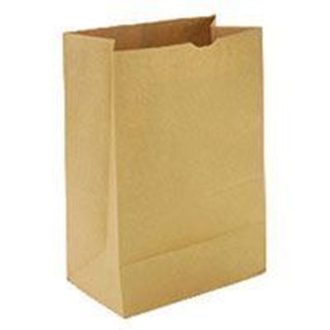 Somi Twisted Handle Kraft 100gsm Paper Bag, 5.5 X 3.25 X 13 In -- 250 Per Case