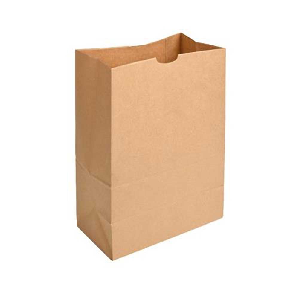 Ecosystems Kraft Paper Bag, 12 X 7 X 17 In -- 400 Per Case
