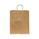 Paper Carry Out Bag with Twist Handle