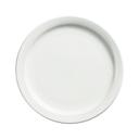 Palm Porcelain White Dinner Plate