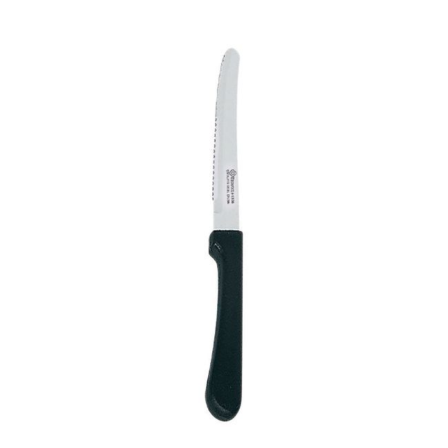 Browne Carnival Stainless Steel Steak Knife With Polypropylene Handle, 8.8 In -- 12 Per Case