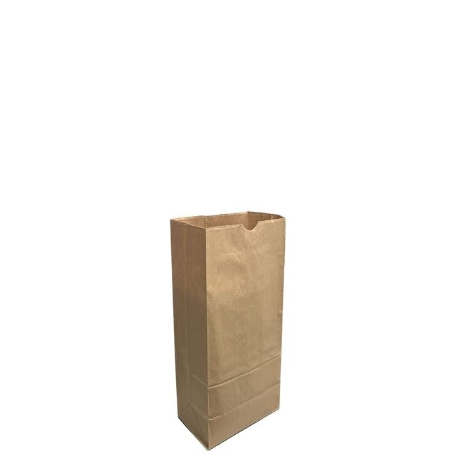 Kraft Paper Grocery Bag