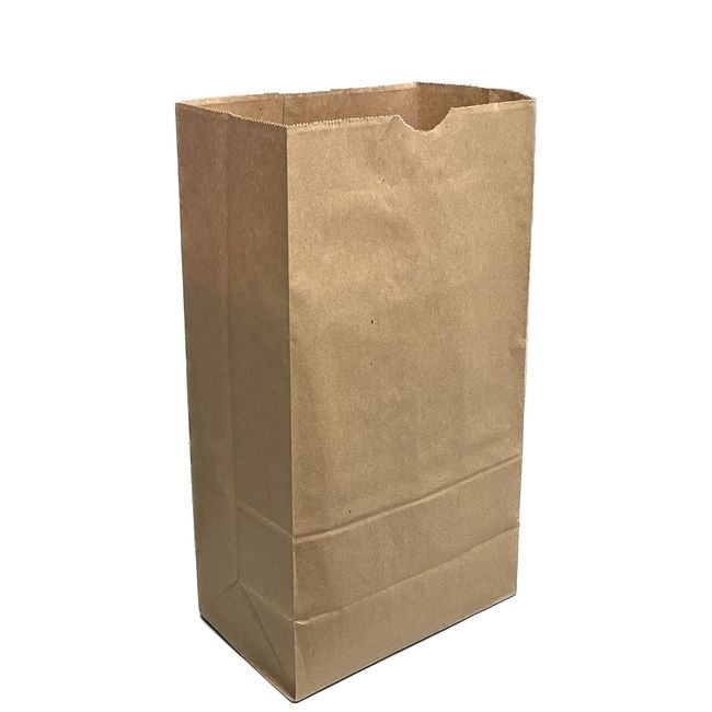 Kraft Paper Grocery Bag