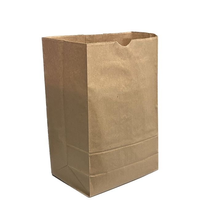 Kraft Paper Grocery Bag