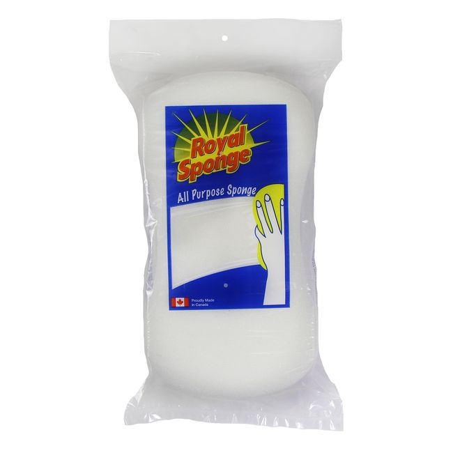 All Purpose Sponge