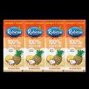 Pineapple and Coconut Juice Drink