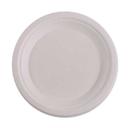 Disposable White Molded Fiber Plate