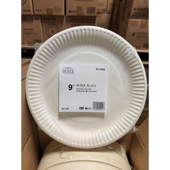 Economy Uncoated Paper Plate