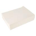 WINPS1488 16-3/4 x 22-3/4 in Filter Paper Envelope, 100 count