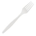 Biodegradable Plant-Based Fork